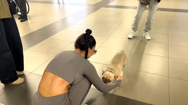 POZNATO KAD ĆE SE STANIJA SRESTI OČI U OČI SA ASMINOM: Dobiće najveći honorar u istoriji rijalitija, a evo šta joj je MOTIV