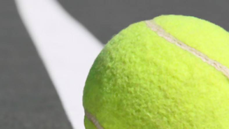 Radwańska vs Williams. Finał Wimbledonu. Gdzie transmisja online?