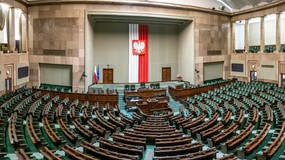 Chipowanie psów ważniejsze od zakazu fajerwerków. Sejm zajmie się tym w pierwszej kolejności