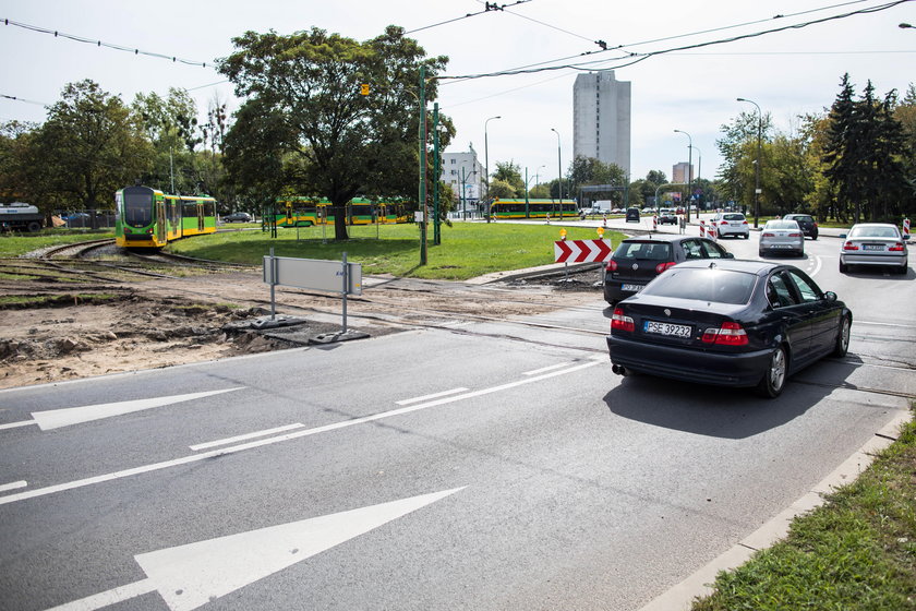 Usuną sto drzew, bo przesadzanie jest za drogie