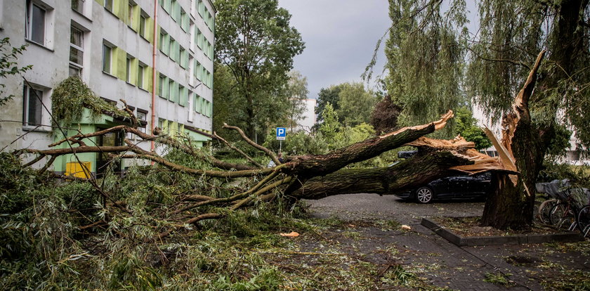 Potężna nawałnica spustoszyła Kraków. Drzewa łamały się jak zapałki