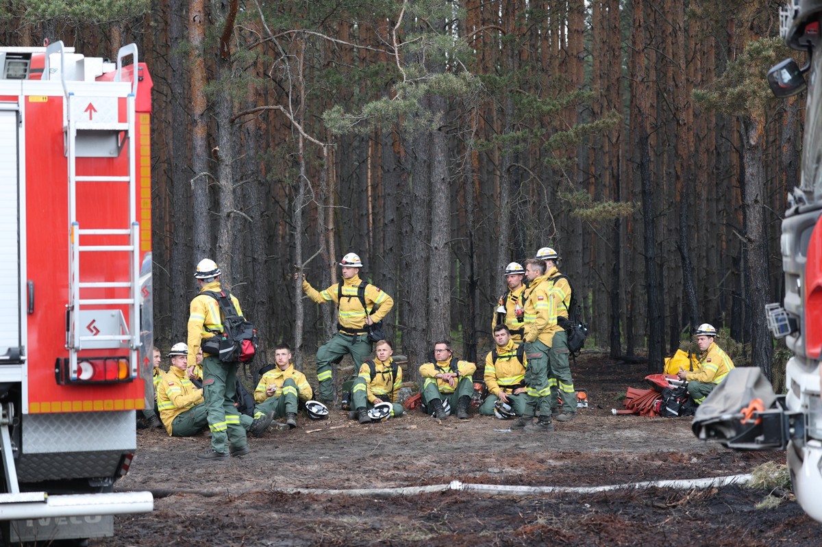 Ogromny pożar pod Warszawą. Strażacy nie odpuszczają. 
