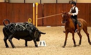 Anna Skrzypek z kwalifikacją na Mistrzostwa Świata Working Equitation!