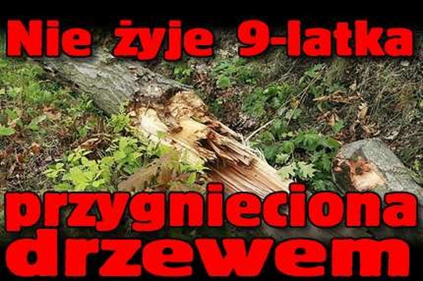 Nie żyje 9-latka przygnieciona drzewem