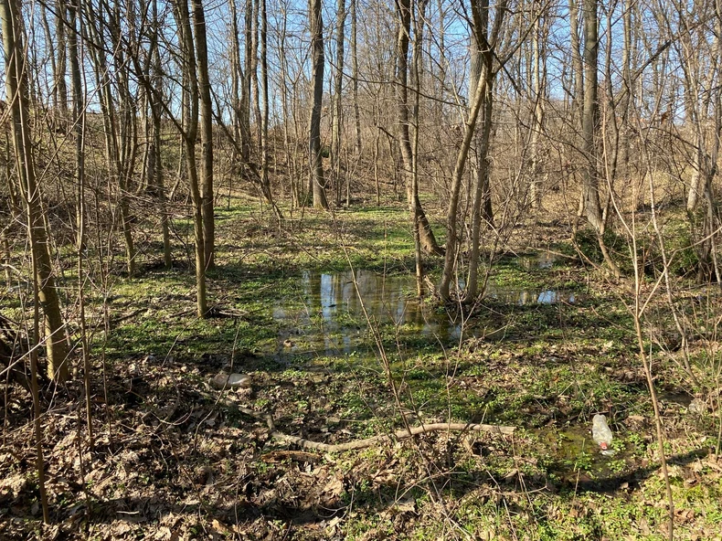 Mesto gde su spasioci pronašli Dunju Marković