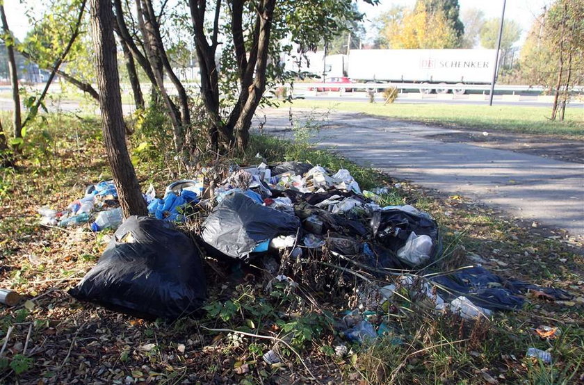 Szopka zamiast sprzątania