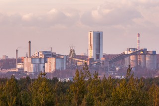 Halemba ostrzegała, nie posłuchali