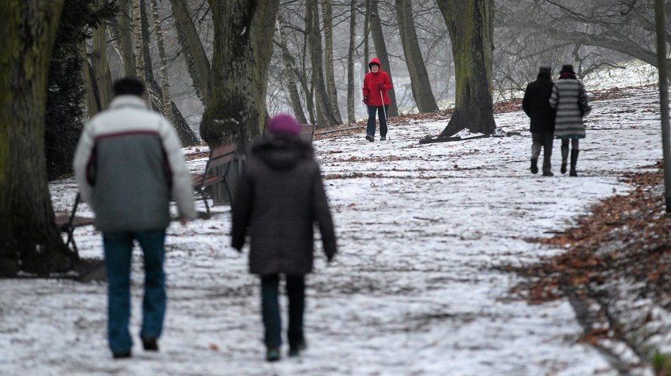 Pogoda na weekend 3-4 grudnia. Na zdjęciu śnieg w szczecińskim parku 