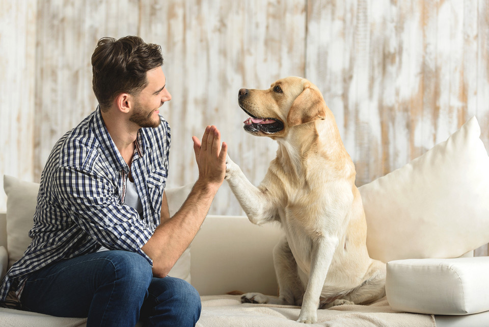 6. Twój pies wie, czy jesteś dobrym człowiekiem