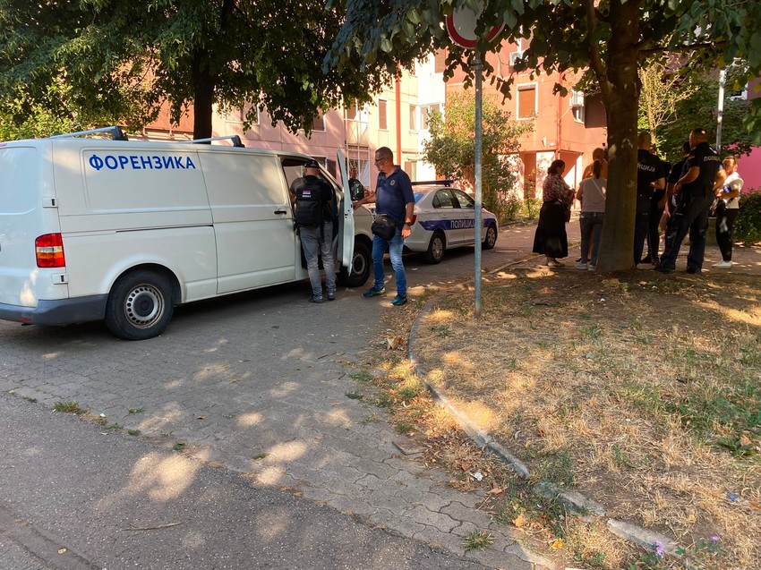 Bežanijska kosa hronika