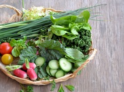 Odświeżamy jadłospis na wiosnę