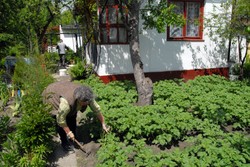 Trybunał orzekł: Ustawa działkowa niezgodna z konstytucją