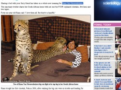 Ta kobieta żyje z 11 drapieżnymi kotami