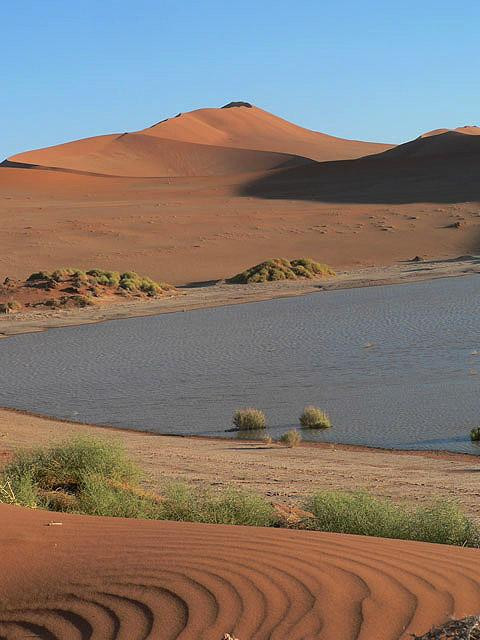 Galeria Namibia - Pustynia Namib, obrazek 1