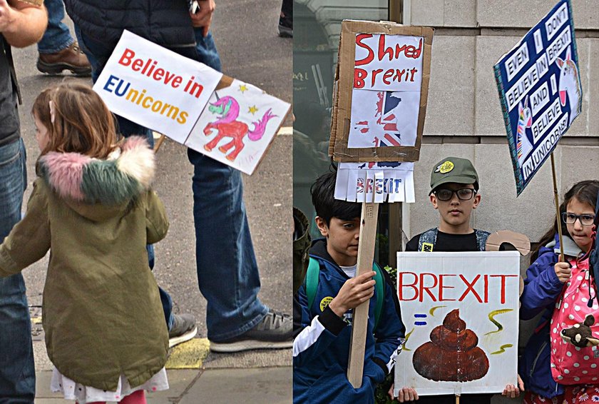 Shred Brexit, believe in eunicorns / Zniszcz Brexit, uwierz w (unijne) jednorożce