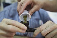 Holocaust survivors use medical marijuana