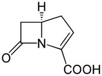 carbapenem-copy-d00000B73d55a1a38c81f