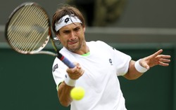 Ferrer, Haas i Wawrnika odpadli z turnieju w Montrealu