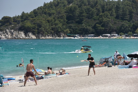 Strah u Grčkoj zbog OTROVNE RIBE NADUVAČE: Naučnici izdali HITNO upozorenje - evo gde se kreće i zašto je toliko OPASNA