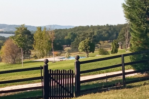 Uknjižena kuća i gotov biznis u jednom! Na prodaju imanje sa 2.000 borovnica na Kosmaju, poznata i cena (FOTO)