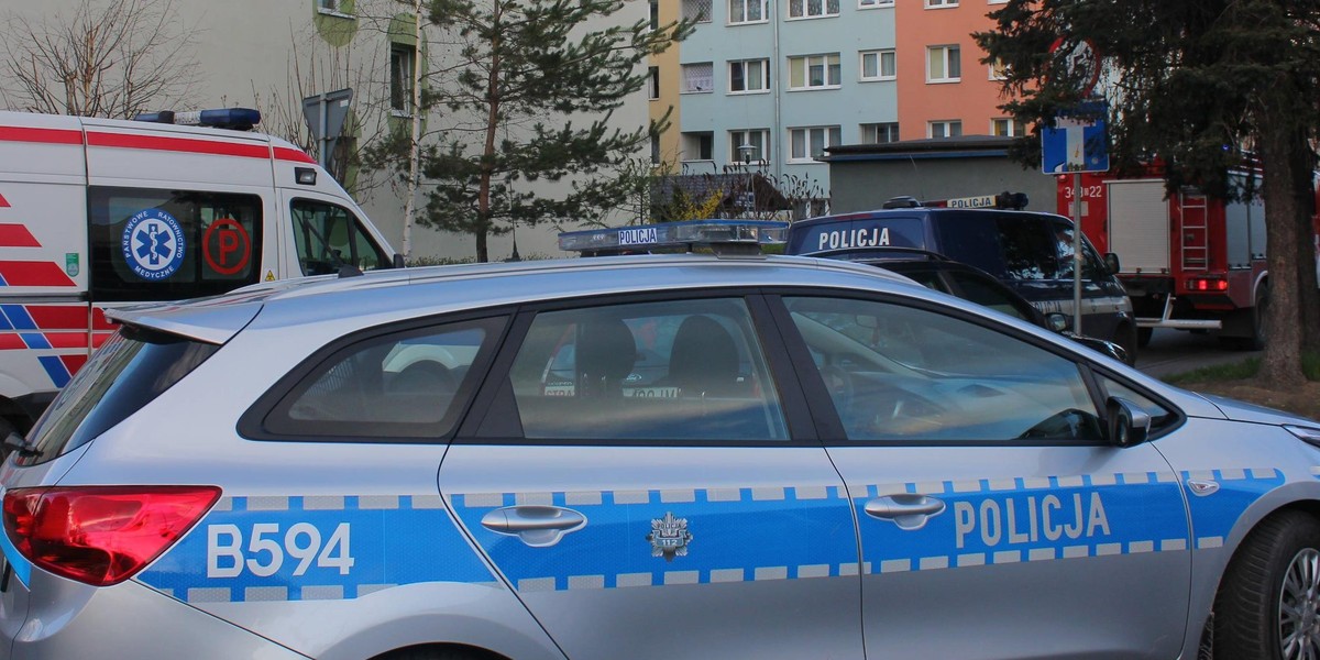 policja