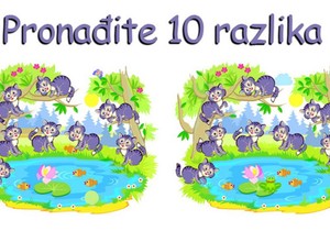 Skrivalica, pronađi razliku