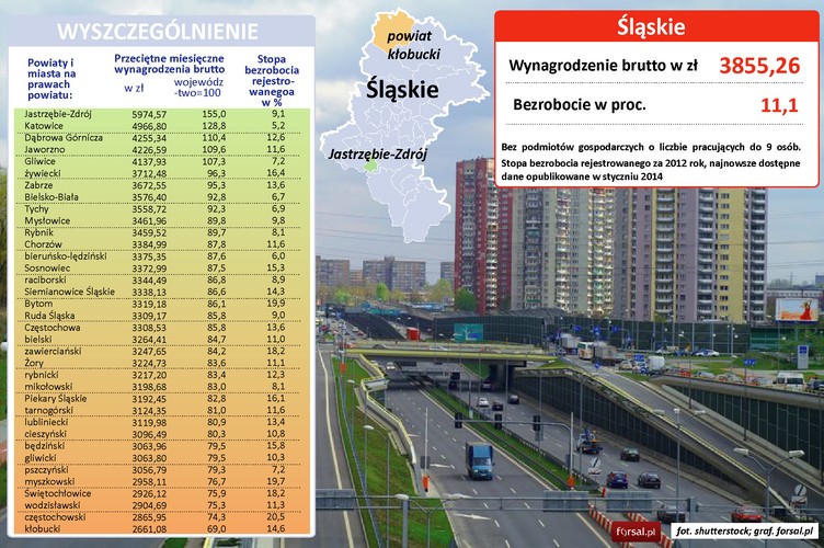 Dobrze jest zarabiać na Śląsku. Nie dość, że średnia pensja w wysokości 3 855 zł zajmuje drugie miejsce w Polsce, zaraz po Mazowszu, to jeszcze stolica regionu nie przejęła większości zysków. Śląsk nie jest jednak pozbawiony dysproporcji zarobków. Różnica pomiędzy najbogatszym i najbiedniejszym powiatem przekracza… 3 300 zł. W Jastrzębiu szczęśliwi pracownicy zanotują na kontach średnio 5 974 zł, podczas gdy w najmniej zamożnym powiecie kłobuckim dostaną jedynie 2 661 zł. Średnią pensję w okolicy 3 300 zł  brutto oferują na Śląsku główne miasta – Chorzów, Sosnowiec, Bytom, Ruda Śląska, a także Częstochowa.
Tradycyjnie Śląsk koncentrował się na węglu i stali, ale w ciągu ostatniej dekady mocno rozwinęła się także motoryzacja. Fabryki mają tu Fiat, Opel, Isuzu. Kwitnie także przemysł lotniczy, powstają tu elementy silników Boeinga, samoloty Orka i samoloty dla polskiej armii.