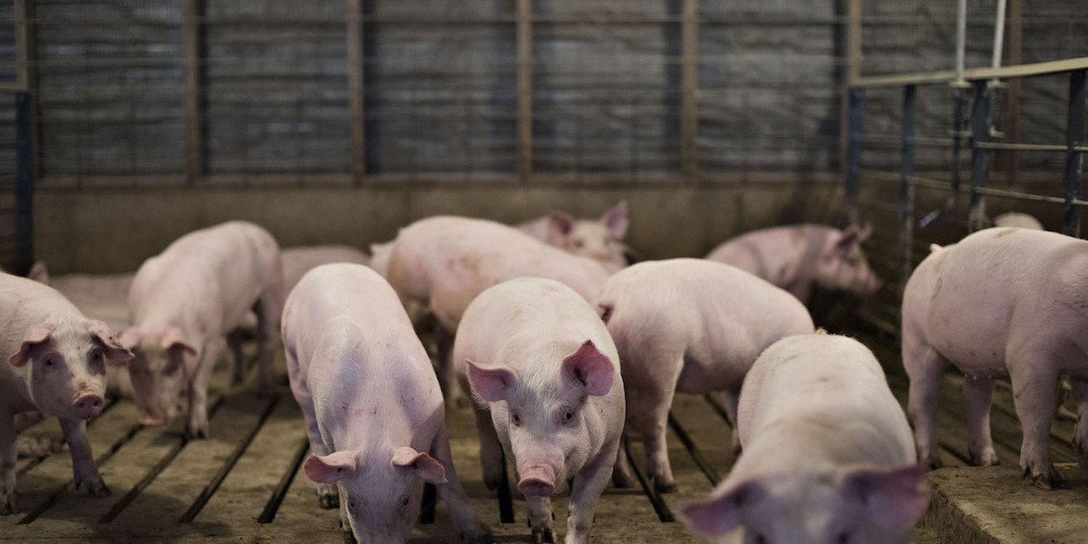 The world’s largest pork producer just pledged to reduce its emissions by 4.4 million tons