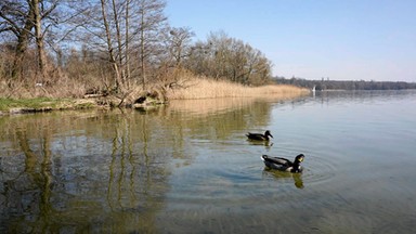 Poznań: w ramach projektu "Plażojada" powstanie nad jeziorem Kierskim "Cyklostop"