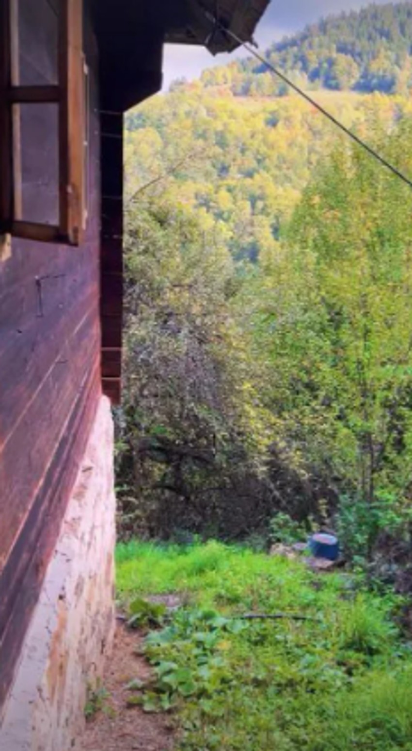 Dragica Zlatić kuća na planini