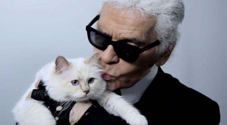 Karl Lagerfeld és imádott macskája Choupette.