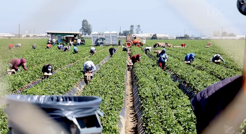 migrant farmworkers