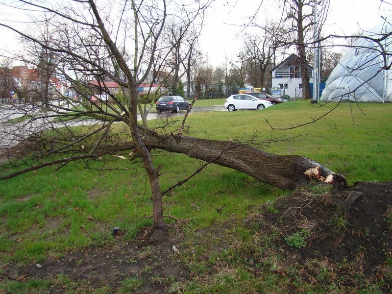 Wichury nad Polską. Skala zniszczeń 