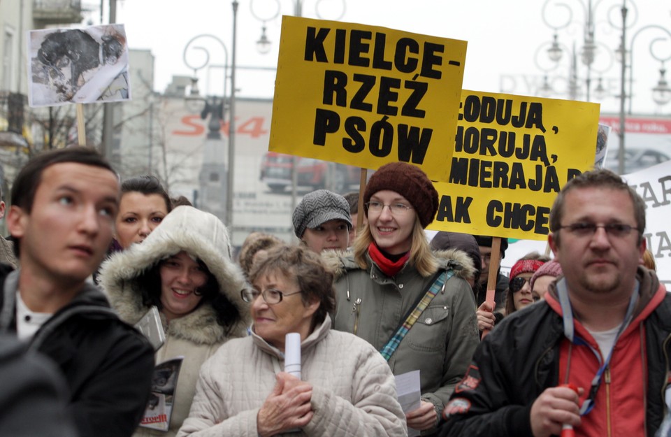 KIELCE MANIFESTACJA SCHRONISKO DLA ZWIERZĄT