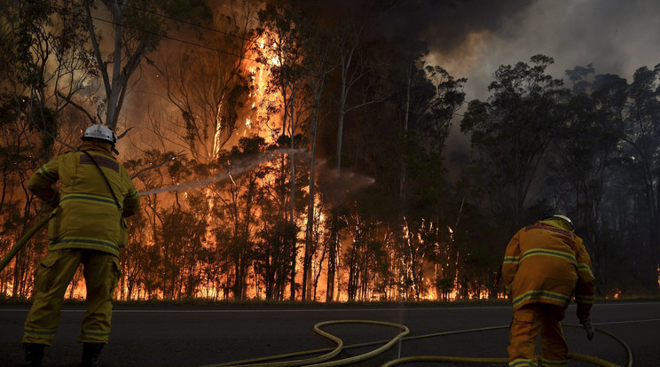 Bozóttűz pusztít Ausztráliában, nyolc tűzoltó vesztette életét / Fotó: MTI