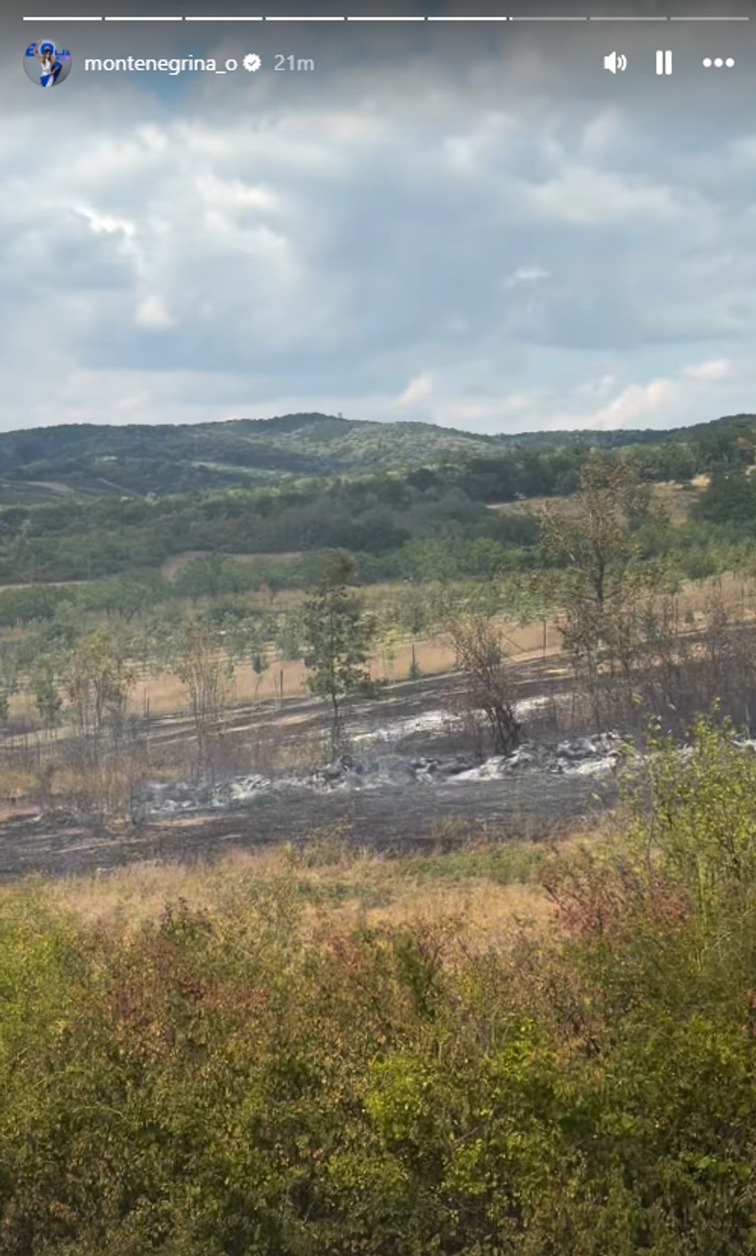 Olja Crnogorac, požar 
