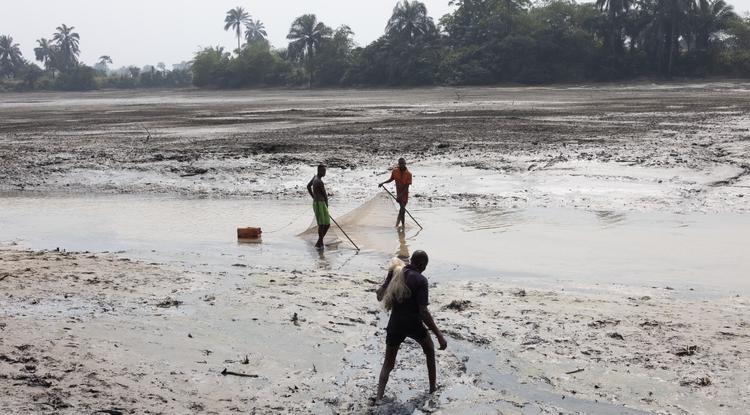 A nigériai Ogoniland még mindig szenved a fekete arany kiaknázásához kapcsolódó járulékos károktól: a talajvíz tömeges szennyezése, a mezőgazdasági területek és a halászterületek pusztulása
