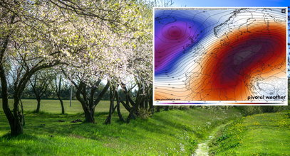 Bomba ciepła znad Afryki zbliża się do kraju. Temperatury "podskoczą do nieba"