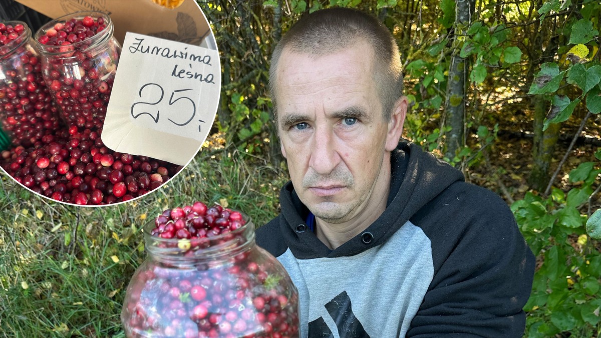Jesień to czas żurawiny. Owoce pomagają na nerki i zmniejszają ryzyko zawału