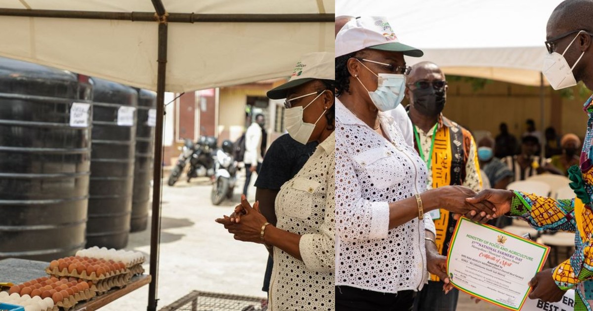 Overall Best Farmer in Accra Metropolis honoured with polytank, fertilizers, insecticides, seeds - Vimarsana News