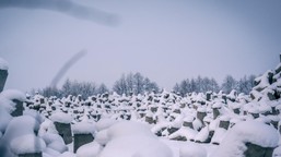 wzmożone ruchy wojska przy granicy z rosją. polska odgradza się potężną zaporą