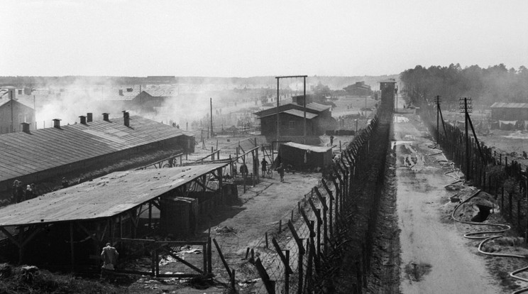 A Bergen-Belsen-i haláltábor a felszabadításakor, 1945 áprilsiában / Fotó: Army Film and Photographic Unit / Imperial War Museum