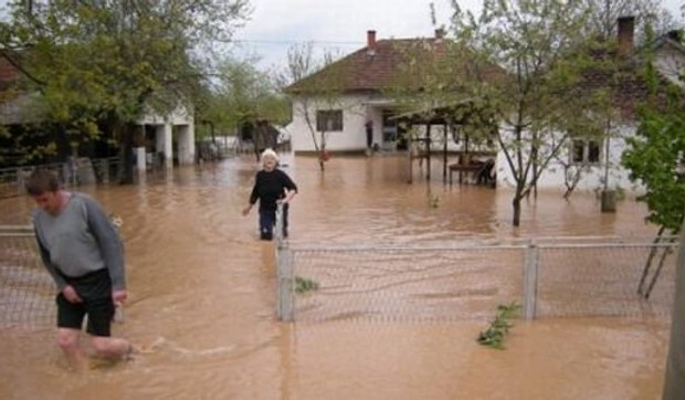 246133_poplavesrbijablic