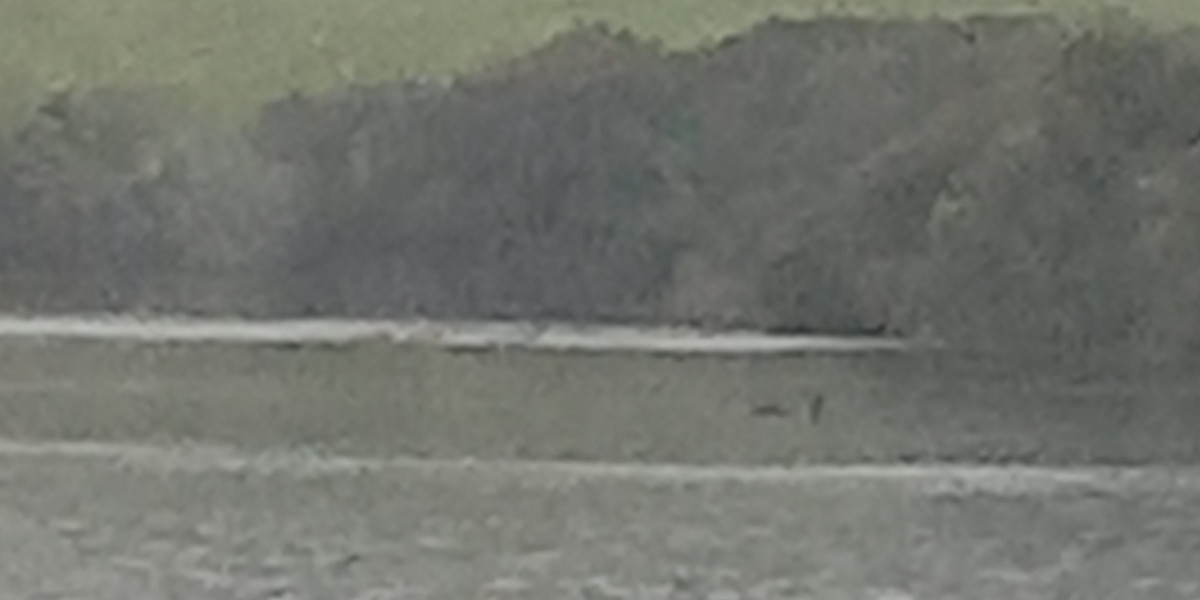 Sfotografowali potwora z Loch Ness?