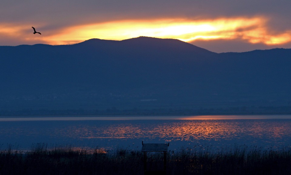 Jezioro Dojran