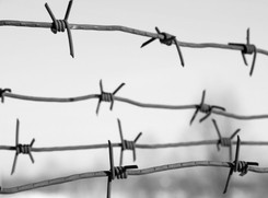 Szczątki pomordowanych Żydów z masowego grobu w Wiźnie wciąż leżą w błocie