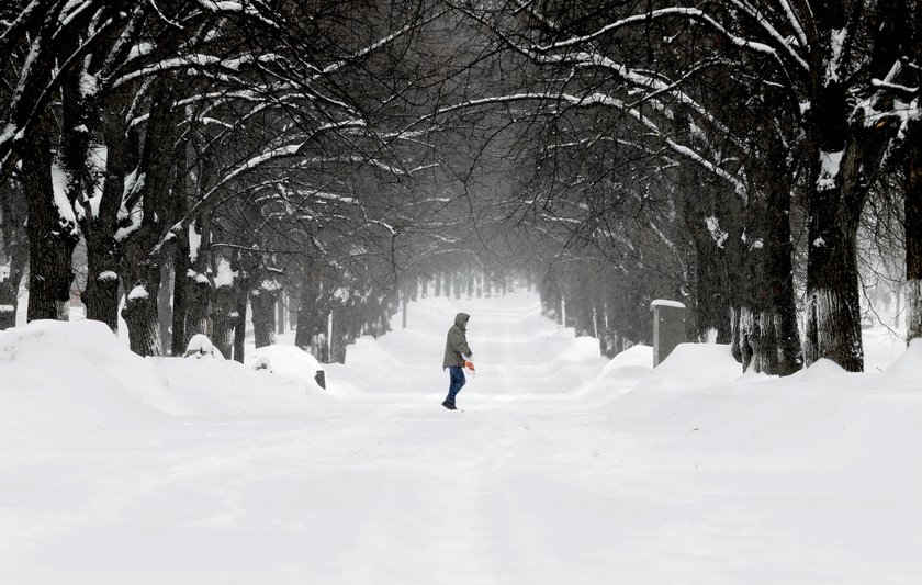 Snowfall in Moscow