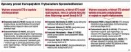 Sprawy przed Europejskim Trybunałem
    Sprawiedliwości