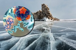 Syberyjskie "wirusy zombie" czekają tylko, aby je obudzić. Zdaniem naukowców to nieuniknione