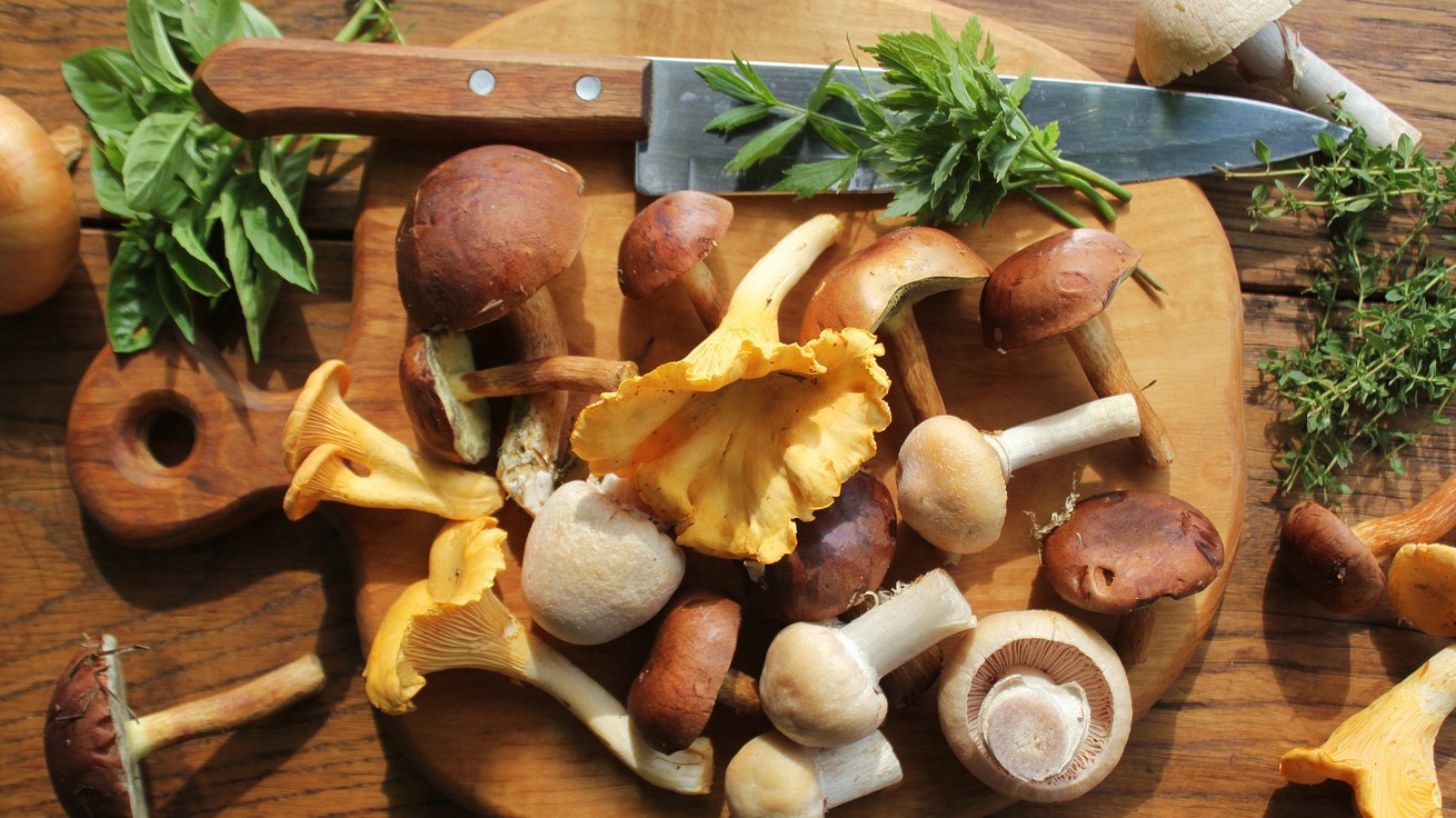 Huby zostanú ako čerstvo nazbierané. (Ilustračný obrázok)